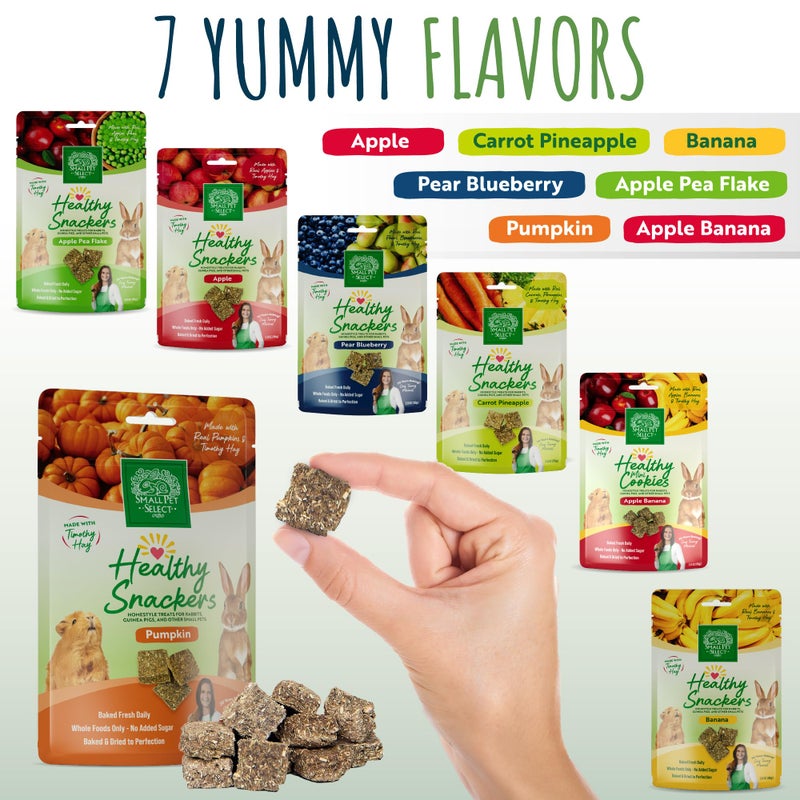 Small Pet Select - Healthy Snackers - Pumpkin - Image 5